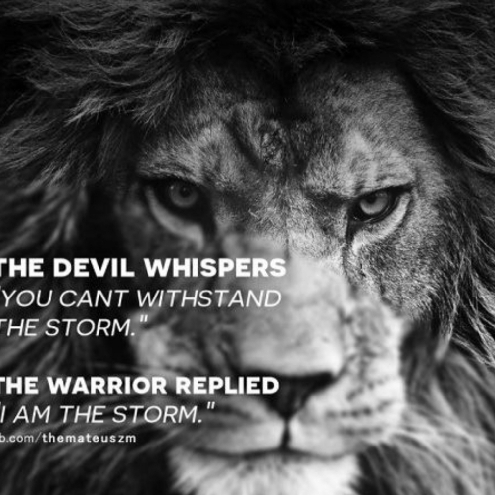 Meet your Posher, Shane